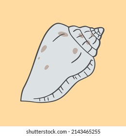 A hand drawn illustration of a seashell. A vector illustration EPS10