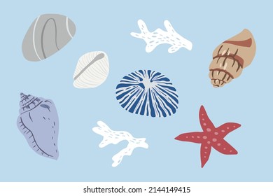 A hand drawn illustration of seashells and corals. Tropical underwater design elements. A vector illustration EPS10