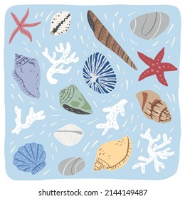 A hand drawn illustration of seashells and corals. Tropical underwater design elements. A vector illustration EPS10