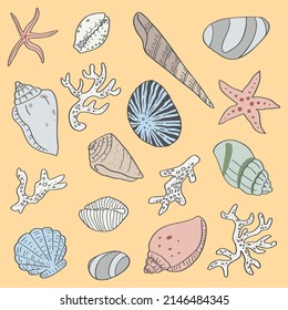 A hand drawn illustration of seashells and corals. Tropical underwater design elements. A vector illustration EPS10
