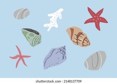 A hand drawn illustration of seashells and corals on blue background. A vector illustration EPS10