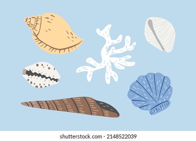 A hand drawn illustration of seashells and corals. Tropical underwater design elements, on blue background. A vector illustration EPS10