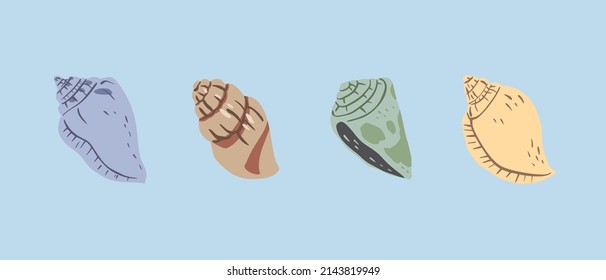 A hand drawn illustration of seashells. Tropical underwater design elements on blue background. A vector illustration EPS10