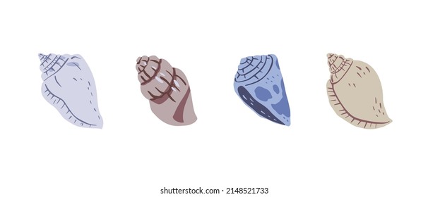 A hand drawn illustration of seashells. Tropical underwater design elements, isolated on white background. A vector illustration EPS10