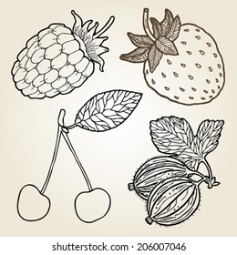  hand drawn illustration set of berries.