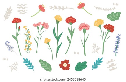 Hand drawn illustration set of carnations and flowers