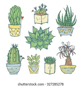 Hand drawn illustration - Set of cute cactus and succulents. Vector