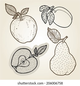  hand drawn illustration set of fruits.