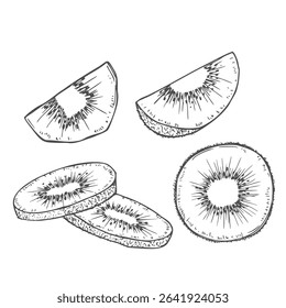 Hand drawn illustration set of monochrome kiwi sketch. Vector eps 8 ink kiwi illustration