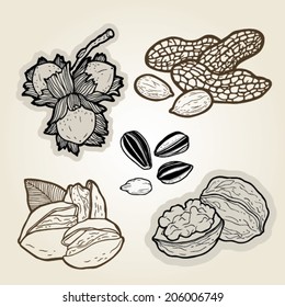  hand drawn illustration set of nuts.