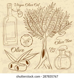 Hand drawn illustration of a set olive. Web Elements for design