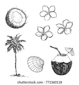 Hand drawn illustration set of palm and coconut, umbrella, milk. sketch. Vector eps 8