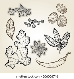  hand drawn illustration set of spices.