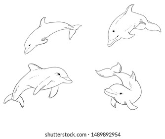 Hand drawn illustration set of vector swimming dolphins isolated on white background