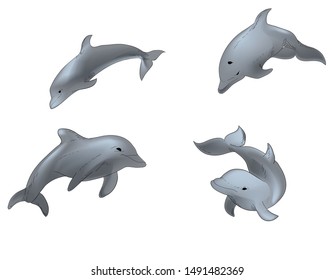 Hand drawn illustration set of vector swimming dolphins isolated on white background