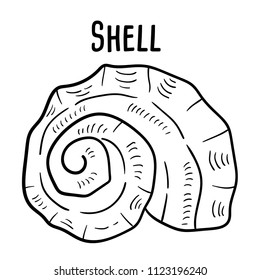 Hand drawn illustration of shell.