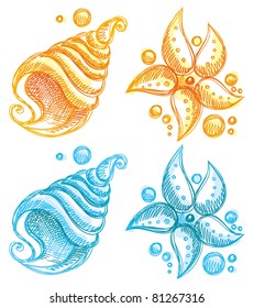 hand drawn illustration of shell and starfish