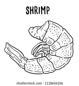 Hand drawn illustration of shrimp.