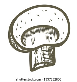 Hand drawn illustration sketch style champignon mushroom composition icon. Vector icons for web design. Farm fresh food isolated on white background. Doodle style mushroom