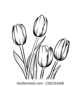 Hand drawn illustration and sketch Tulips flower. Black and white with line art illustration.Idea for business visit card, typography vector,print for t-shirt.