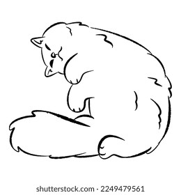 hand drawn illustration of sleeping cat in cute pose. line art, black outline. cute kitten cartoon character. doodle sketch. suitable for print, children coloring book.