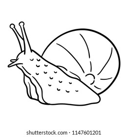Hand drawn illustration of Snail.