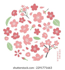 Hand drawn illustration of spring cherry blossoms.