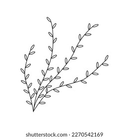 Árbol de resorte de ilustración dibujado a mano. Aislado sobre fondo blanco