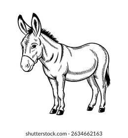 ilustração desenhada à mão de um burro de pé