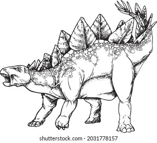 a hand drawn illustration of a stegosaurus converted to vector 