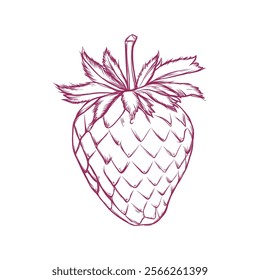 Hand drawn illustration of a strawberry in line art style, capturing its intricate details and delicate form.