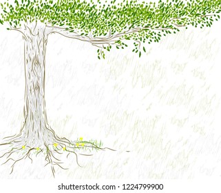 Hand drawn illustration. Summer tree with leaves. 