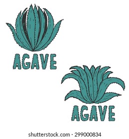 Hand drawn illustration template of agave.Vector