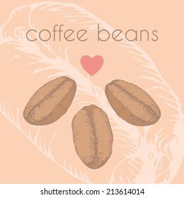 Hand drawn illustration of three coffee beans. EPS 10. No transparency. No gradients.
