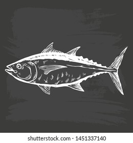 Hand Drawn Illustration of a (Thunnus thynnus) Red tuna on blackboard