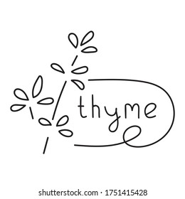 Hand drawn illustration - thyme. Vector design on white background.