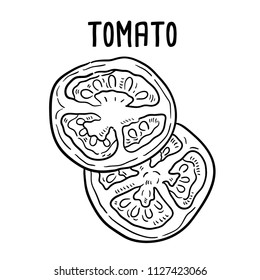Hand drawn illustration of Tomato.