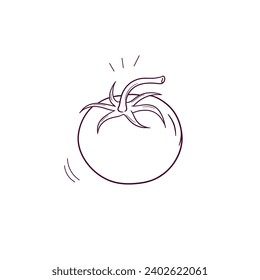 Hand Drawn illustration of tomato icon. Doodle Vector Sketch Illustration