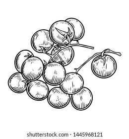 Hand drawn illustration of tomatoes. Design element for poster, t shirt, card, banner. Vector illustration