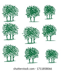 Hand drawn illustration trees Vector