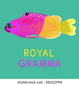 a hand drawn illustration of a tropical fish; royal gramma; vector 