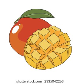 Dibujo manual de fruta tropical 'Mango Apple'. 'Mango de manzana' es una de las variedades de mango. El mango se utiliza como ingrediente para el jugo, el hielo afeitado, el pudín, el pastel y la mermelada.