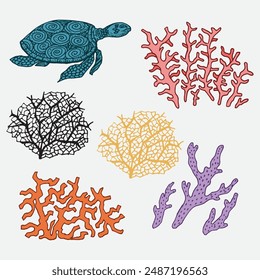 hand drawn illustration of turtle and coral reef collection