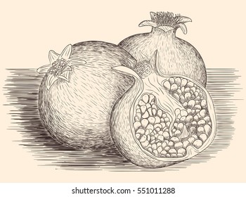 Hand drawn illustration of two garnets and half of it