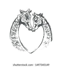 Hand drawn illustration of two giraffes making a heart with necks.