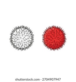 Hand drawn illustration of two lychee fruits isolated on