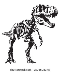 Hand drawn illustration of a Tyrannosaurus Rex skeleton. Editable art.