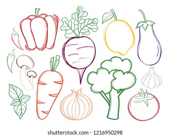 Hand drawn illustration with vector organic vegetables on white blackground . Creative concept healthy food. 