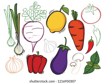 Hand drawn illustration with vector organic vegetables on white blackground . Creative concept healthy food. 