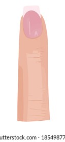 Hand drawn illustration vector white beige skin woman finger with french manucure beautiful nail art designer